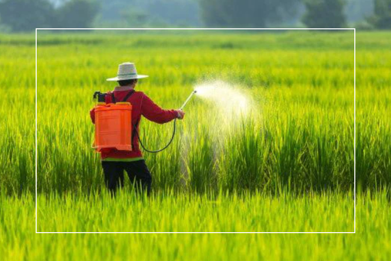 fungicides img